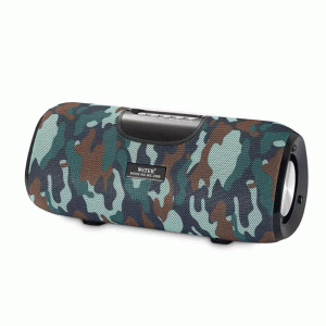 اسپیکر بلوتوثی قابل حمل مدل WSTER WS-2909