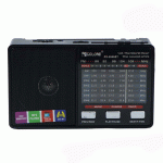 اسپیکر بلوتوثی قابل حمل گولون مدل RX-8866BT